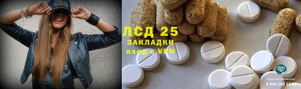spice Карпинск