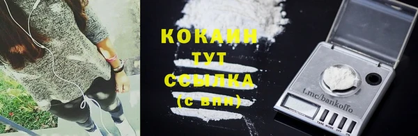 spice Карпинск