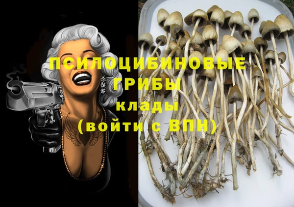 spice Карпинск