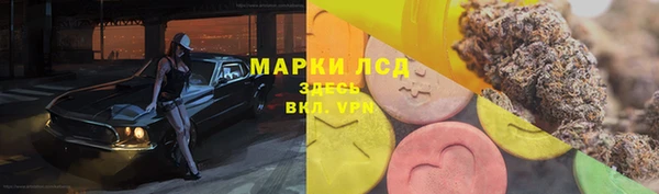 шишки Карталы