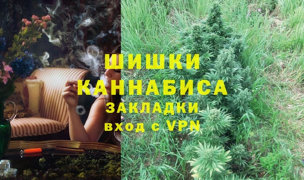 spice Карпинск