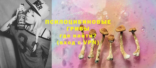 PSILOCYBIN Касимов