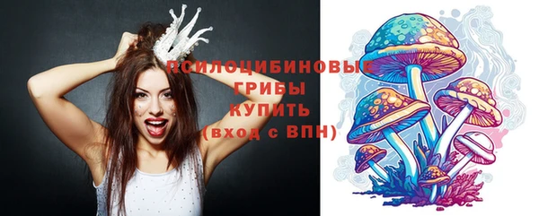 шишки Карталы