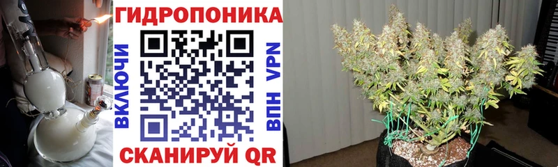 Бошки Шишки AK-47 Борисоглебск
